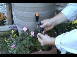 It's fine for filling a watering can, but a sprinkler or hose nozzle won't work unless you boost the pressure. Rain Barrel Soaker Hose Youtube
