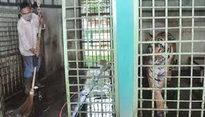 Jika benar tujuan anda adalah untuk liburan atau refreshing, maka kami juga menyajikan harga tiket masuk dufan terkini yang tak kalah bagus juga adalah harga tiket jogja bay serta htm jatim park 1 sekarang ini. Kebun Binatang Medan Zoo Buka Hari Minggu Besok Travel Tempo Co