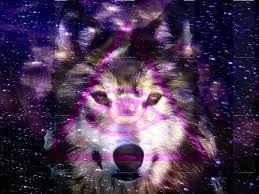 Lobos Tumblr Hipster Imagui