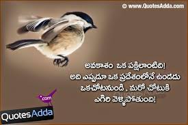 Guru pournami telugu, wishes, quotes, images 2021. Life Quotes Facebook Wall Quotes Sweet Dream Quotes Good Night Quotes Cute Quotes For Life