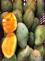 King madu,mangga mahachanok,mangga gajah,mangga 3 rasa,kedondong,gajus,jambu madu vietnam,asam gelugor,cermai,ceri barbados,renda,laici,lemon australia,lemon seedless. Facebook