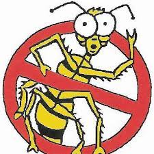 Bed bugs readily move from apartment to apartment, with many people unaware that they have a problem. Bug Depot Do It Yourself Pest Control à¸«à¸™ à¸²à¸«à¸¥ à¸ Facebook