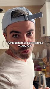 Como Dar De Comer A Una Golondrina Pequeña