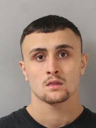 Hendersonville Police arrest nine