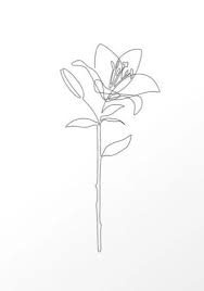 Pin By Amanda Muller On Sketches Lily Flower Tattoos Line Drawing Tattoos Line Art Tattoos