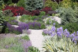 Check spelling or type a new query. Best Perennials And Grasses For Utah