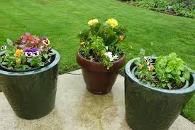 1.1 when is the best time of year to aerate your lawn? When To Hand Water Your Lawn And Landscaping Challenger Irrigation