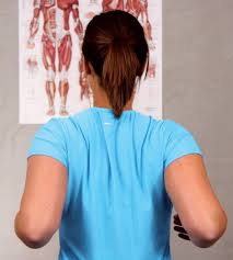 Cervical Exercise Cervical Exercise Spinal Stenosis Exercises