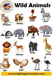 Entry passes are required for all guests, including infants, and visitors must follow safety measures. 23 Zoo Animals Names List Ideas Animals Name List Animals Name In English Animals