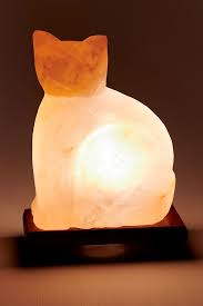 Cats are curious little creatures and might lick off the salt. Earthbound Trading Company Cat Shaped Salt Lamp Earthbound Trading Co