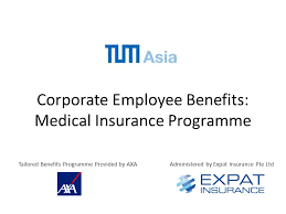 Level term life insurance providing protection to your family in the event of your death during the term of the cover. Corporate Employee Benefits Medical Insurance Programme Tailored Benefits Programme Provided By Axaadministered By Expat Insurance Pte Ltd Ppt Download
