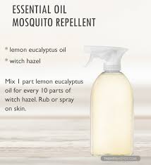 Diy Homemade Natural Nontoxic Insect Bug And Mosquito Spray