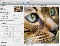 Programe de modificat poze pentru toate categoriile de utilizatori (incepatori, intermediari, avansati) Program Portabil De Marit Poze Redimensionare Imagini Windows