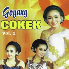 Ada beberapa cara penjagaan untuk mengatasi rambut yang kering biasanya berlaku disebabkan panas yang berlebihan pada rambut. Goyang Cokek Vol 1 Songs Download Free Online Songs Jiosaavn