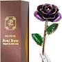 Profile Picture of Amazon.com: Sinvitron Gold Dipped Rose 24K Real Rose, Long Stem ... (@amazon.com) on Google