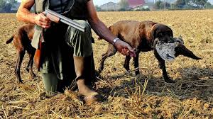 Du lundi au vendredi : Dates De Fermeture De La Saison Chasse 2020 2021 Prochasse