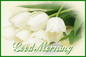Every morning i wake up to realize that i am dating the princess from my fairytale. Best Beautiful Good Morning Gif For Whatsapp Morning