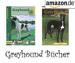 Kann man einen greyhound frei laufen lassen? Greyhound Windhund Hunde Wesen Temperament Erziehung Pflege