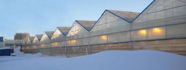 Durable, versatile, and easy to work with, polycarbonate panels can be used in hundreds of polycarbonate panels are less expensive in comparison to almost any other plastic sheet, and they are easier to work with than glass or acrylic. Commercial Greenhouse Plastic Industrial Greenhouse Palram Industries Ltd