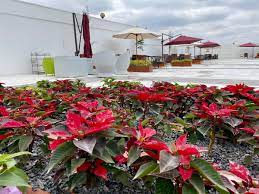 Machakos governor alfred mutua and his famous sweetheart lilian ng'ang'a are no longer an item. Dr Alfred Mutua On Twitter Lillian I Invite You To The Soft Opening Of The A L Hotel Machakos From Tomorrow July 24th 2020 We Have Initiated Covid 19 Protocols To