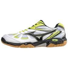 Mizuno Badminton Shoes