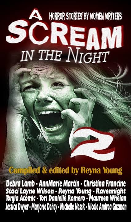 A Scream in the Night 2 - Black Bed Sheet Books