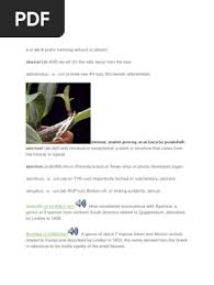 Image result for Summerhayesia