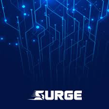 نتیجه جستجوی لغت [surge] در گوگل