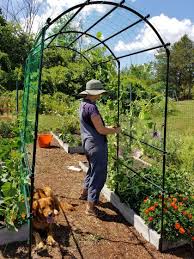 Buy barrington obelisk plant support from garden trading: Titan Tunnel Trellis For Squash Zucchini Melons Gardeners Com Urban Gardeners Metal Garden Trellis Garden Vines Garden Trellis