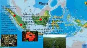 Fauna yang banyak dijumpai adalah rusa merah skotlandia dan sekitar 400 burung termasuk rajawali emas dari skotlandia dan belibis merah yang khas dari inggris. Rangkuman Materi Persebaran Flora Di Indonesia