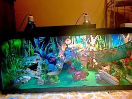 An Intricate Mini Desert Playground In A 40 Gallon Tank For Bearded Dragon All Live Terrar Bearded Dragon Terrarium Bearded Dragon Habitat Bearded Dragon Care
