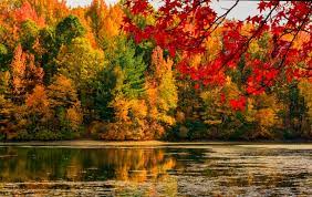 The difference between 'fall' and 'autumn' explained