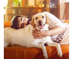 Check spelling or type a new query. Maninder Buttar Names Album After His Pet Dog
