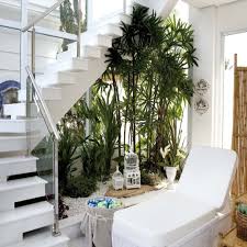 The best indoor plants perfect for everyone: 17 Under Stairs Plants For A Natural Experience