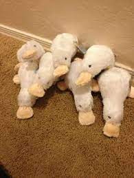 Get up to 50% off. 14 Liam Wolves Are Cute Ideas Webkinz Cute Webkinz Stuffed Animals