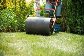 What to expect when you aerate with trugreen. Lawn Care 101 Aerating Rolling A Touch Of Dutch