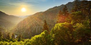 Beaches, mountains, flowers, oceans, trees, seasons & more Four Seasons In The Smoky Mountains Sun Rv Resorts