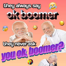 Pin On Ok Boomer Memes And Tees
