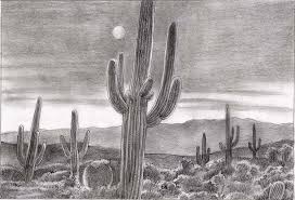 Sonoran Desert Sketch Sleeve Idea Desert Drawing Architecture Sketch Drawings