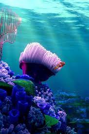 An hour of music from pixar's finding nemo along with underwater ambience.music: Be A Pirate Or Die Nburkhardt Finding Nemo Iphone Wallpapers Feel Wallpaper Iphone Disney Disney Finding Nemo Disney Background