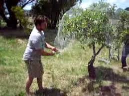 We did not find results for: 44 Fruit Tree Netting Ideas Fruit Trees Bird Netting Garden Netting