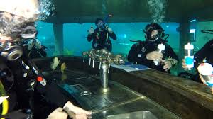 Beringen Had Voor Een Dag Een Onderwaterbar De Standaard Mobile