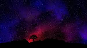 Nacht Baum Sternenhimmel Himmel Sterne 1920x1080 Full Hd 2k Hintergrundbilder Hd Bild You can also upload and share your favorite 2560x1440 hd wallpapers. nacht baum sternenhimmel himmel