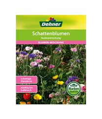 Beste Blumenzwiebeln Zum Einpflanzen Dehner In 2020 Schattenblumen Blumenzwiebeln Schmuckkorbchen