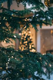So these tiny lights at a special occasion. Aesthetic Christmas Lights Wallpaper Iphone
