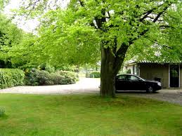 Les trous doivent être assez larges et positionnés à divers endroits. Comment Mettre En Valeur Un Arbre Isole Du Jardin