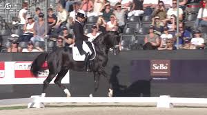 Clipmyhorse Tv Great Britain Is This The New Totilas Edward Gal Glock S Toto Jr Nk Dressuur 2020 Facebook