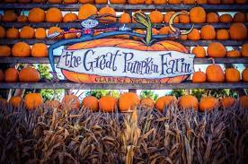 We did not find results for: Clarence S The Great Pumpkin Farm Is The 5 Ranked Pumpkin Patch In The United States