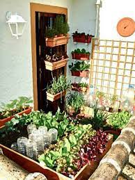 Vegetables that don't take a lot of space to grow are perfect for growing on the balcony. Balcony Garden Small Space Gardening Small Balcony Garden Growing Vegetables