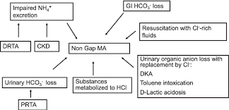 Pdf Differential Diagnosis Of Nongap Metabolic Acidosis Value Of A Systematic Approach Semantic Scholar